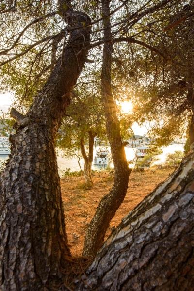 Project My Spetses 2022018