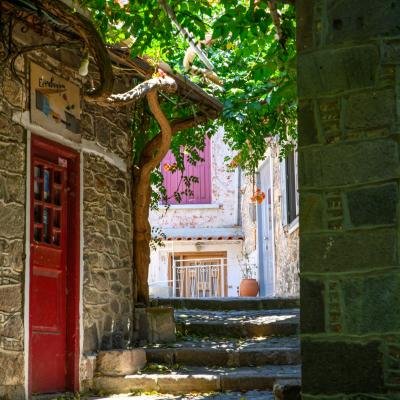 Lesvos 2023 2023023
