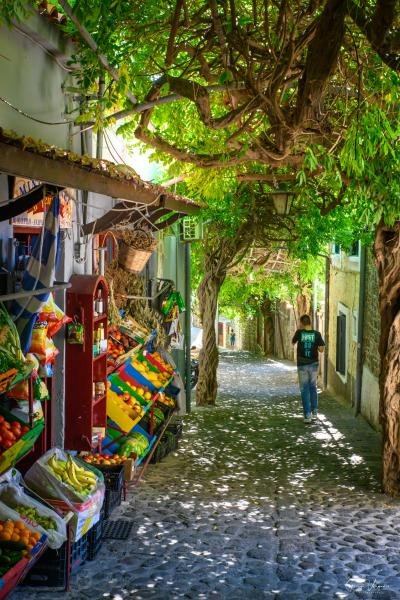 Lesvos 2023 2023025